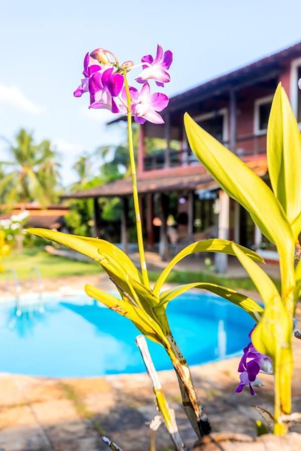Flow Homestay